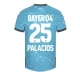 Bayer 04 Leverkusen Fodboldtrøjer Palacios #25 2023-24 Tredjetrøje Mænd