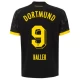 BVB Borussia Dortmund Fodboldtrøjer 2023-24 Haller #9 Udebanetrøje Mænd