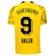 BVB Borussia Dortmund Fodboldtrøjer Haller #9 2023-24 Tredjetrøje Mænd