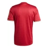 FC Bayern München Fodboldtrøjer 2024-25 125th Anniversary Hjemmebanetrøje Mænd