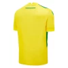 FC Nantes Fodboldtrøjer 2024-25 Hjemmebanetrøje Mænd