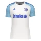 FC Schalke 04 2023-24 Udebanetrøje