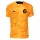 Memphis Depay #10 Holland Fodboldtrøjer VM 2022 Hjemmebanetrøje Mænd