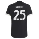 Juventus FC Fodboldtrøjer Rabiot #25 2023-24 Tredjetrøje Mænd