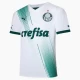 Palmeiras Fodboldtrøjer 2023-24 Udebanetrøje Mænd