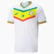 Senegal Fodboldtrøjer VM 2022 Hjemmebanetrøje Mænd