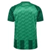 Werder Bremen Fodboldtrøjer 2024-25 Hjemmebanetrøje Mænd